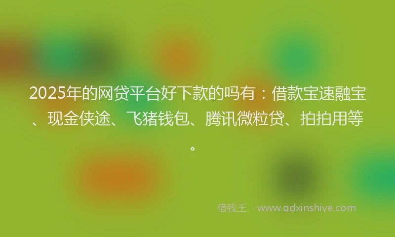 2025年的网贷平台好下款的吗有：借款宝速融宝、现金侠途、飞猪钱包、腾讯微粒贷、拍拍用等。