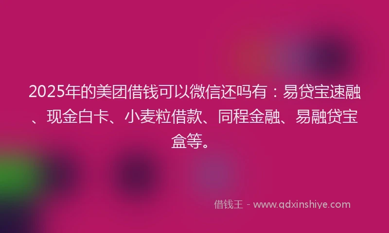 2025年的美团借钱可以微信还吗有：易贷宝速融、现金白卡、小麦粒借款、同程金融、易融贷宝盒等。
