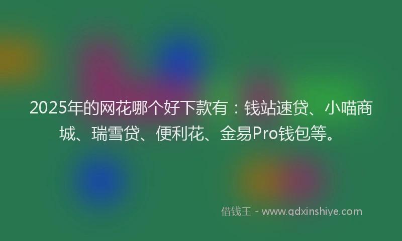 2025年的网花哪个好下款有：钱站速贷、小喵商城、瑞雪贷、便利花、金易Pro钱包等。