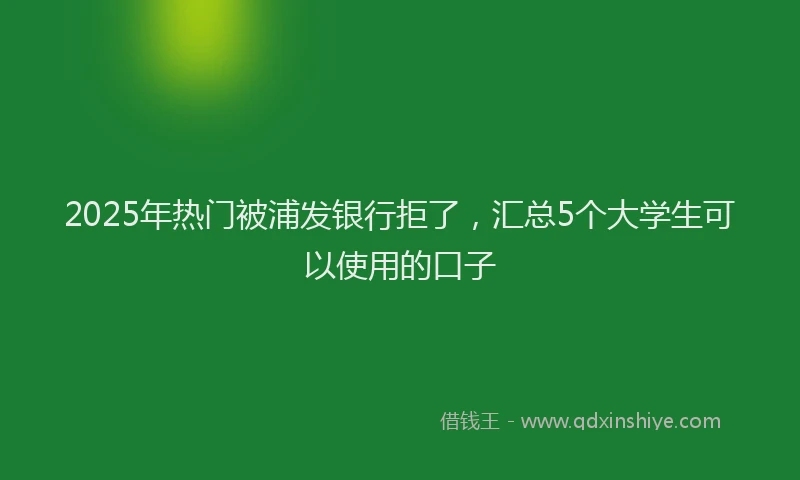 2025年热门被浦发银行拒了，汇总5个大学生可以使用的口子