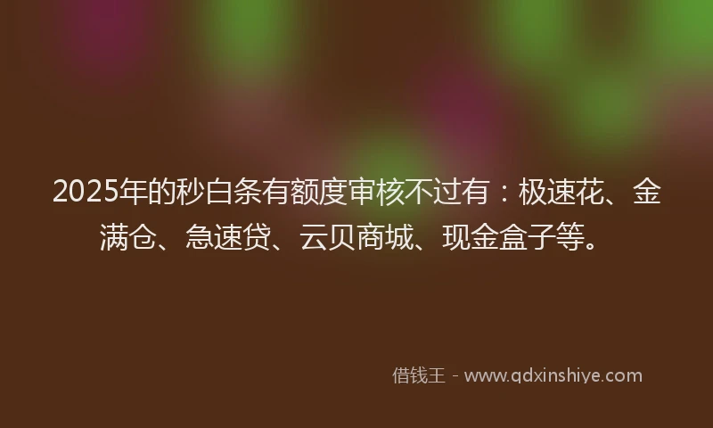 2025年的秒白条有额度审核不过有：极速花、金满仓、急速贷、云贝商城、现金盒子等。
