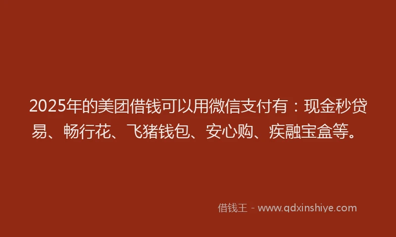 2025年的美团借钱可以用微信支付有：现金秒贷易、畅行花、飞猪钱包、安心购、疾融宝盒等。