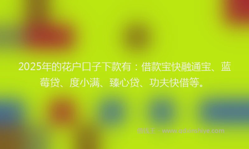 2025年的花户口子下款有：借款宝快融通宝、蓝莓贷、度小满、臻心贷、功夫快借等。
