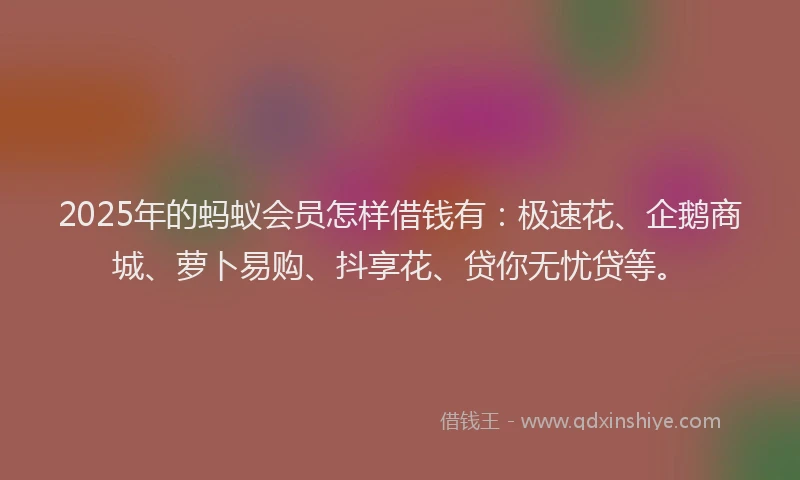 2025年的蚂蚁会员怎样借钱有：极速花、企鹅商城、萝卜易购、抖享花、贷你无忧贷等。
