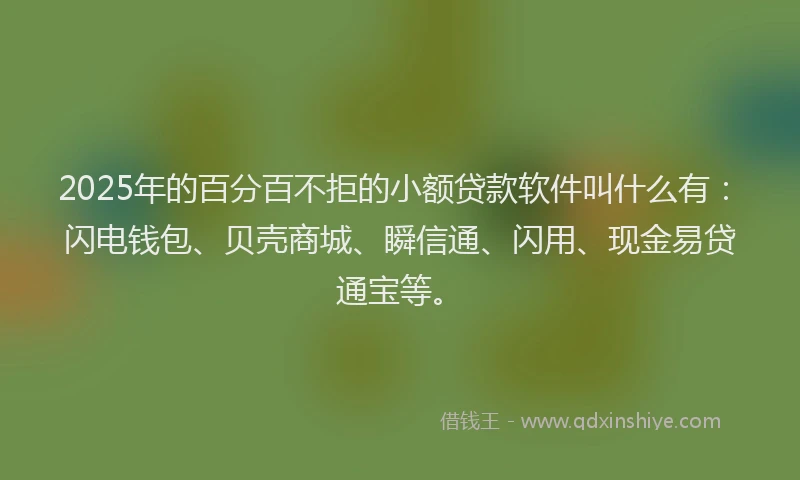 2025年的百分百不拒的小额贷款软件叫什么有：闪电钱包、贝壳商城、瞬信通、闪用、现金易贷通宝等。