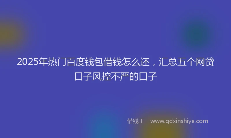 2025年热门百度钱包借钱怎么还，汇总五个网贷口子风控不严的口子