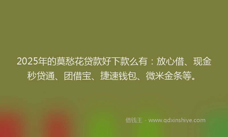 2025年的莫愁花贷款好下款么有：放心借、现金秒贷通、团借宝、捷速钱包、微米金条等。