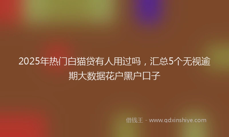 2025年热门白猫贷有人用过吗，汇总5个无视逾期大数据花户黑户口子