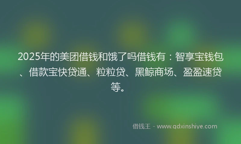 2025年的美团借钱和饿了吗借钱有：智享宝钱包、借款宝快贷通、粒粒贷、黑鲸商场、盈盈速贷等。