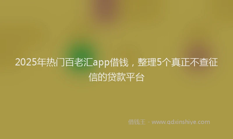 2025年热门百老汇app借钱，整理5个真正不查征信的贷款平台