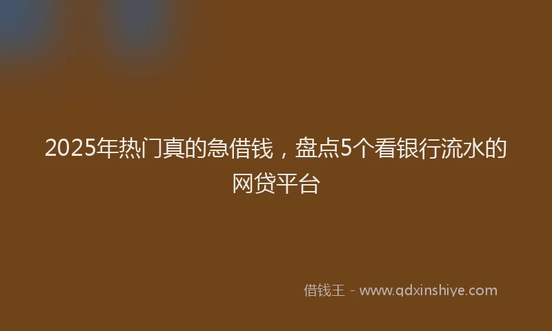 2025年热门真的急借钱，盘点5个看银行流水的网贷平台