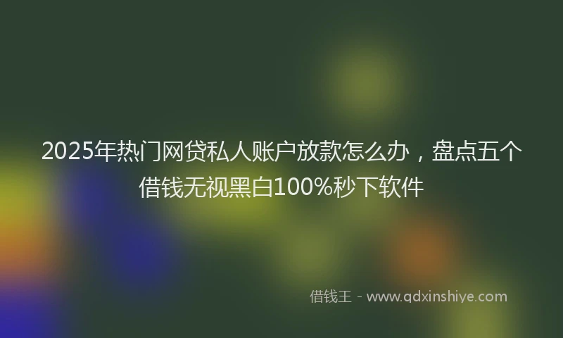 2025年热门网贷私人账户放款怎么办，盘点五个借钱无视黑白100%秒下软件
