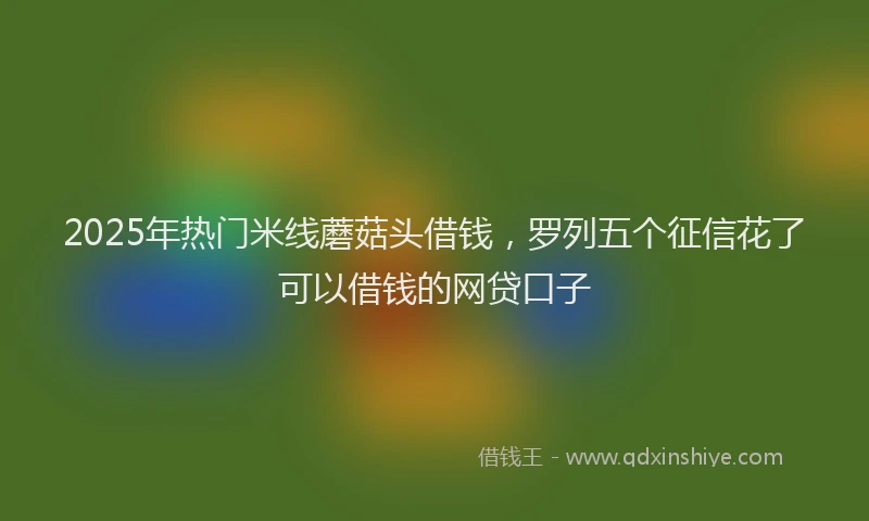 2025年热门米线蘑菇头借钱，罗列五个征信花了可以借钱的网贷口子