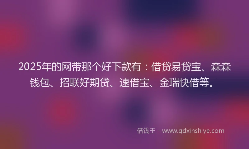 2025年的网带那个好下款有：借贷易贷宝、森森钱包、招联好期贷、速借宝、金瑞快借等。