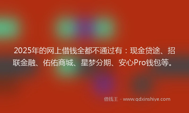 2025年的网上借钱全都不通过有：现金贷途、招联金融、佑佑商城、星梦分期、安心Pro钱包等。
