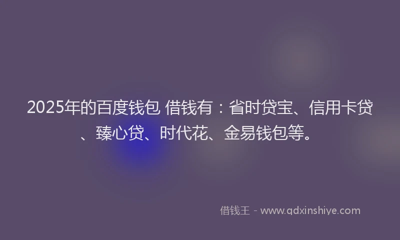 2025年的百度钱包 借钱有：省时贷宝、信用卡贷、臻心贷、时代花、金易钱包等。