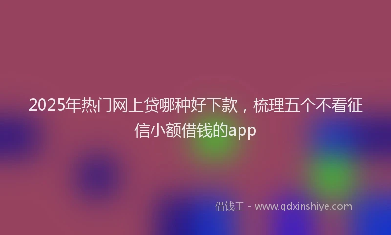2025年热门网上贷哪种好下款，梳理五个不看征信小额借钱的app