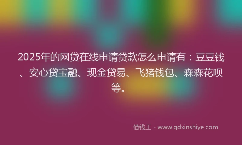 2025年的网贷在线申请贷款怎么申请有：豆豆钱、安心贷宝融、现金贷易、飞猪钱包、森森花呗等。