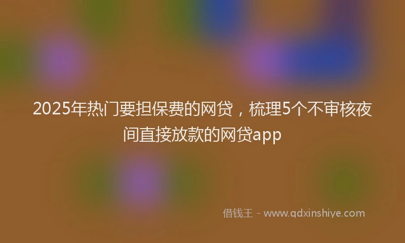2025年热门要担保费的网贷，梳理5个不审核夜间直接放款的网贷app