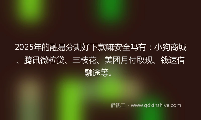 2025年的融易分期好下款嘛安全吗有：小狗商城、腾讯微粒贷、三枝花、美团月付取现、钱速借融途等。