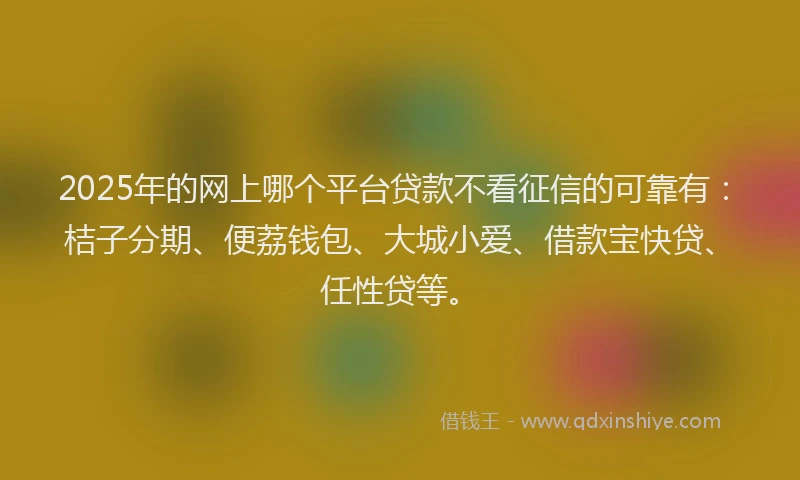 2025年的网上哪个平台贷款不看征信的可靠有：桔子分期、便荔钱包、大城小爱、借款宝快贷、任性贷等。