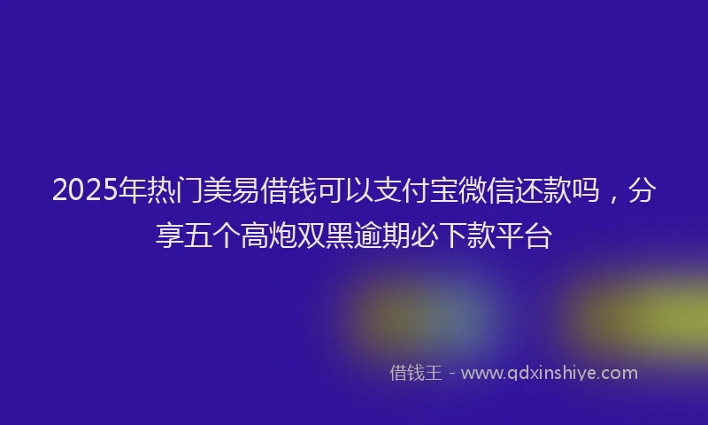 2025年热门美易借钱可以支付宝微信还款吗，分享五个高炮双黑逾期必下款平台
