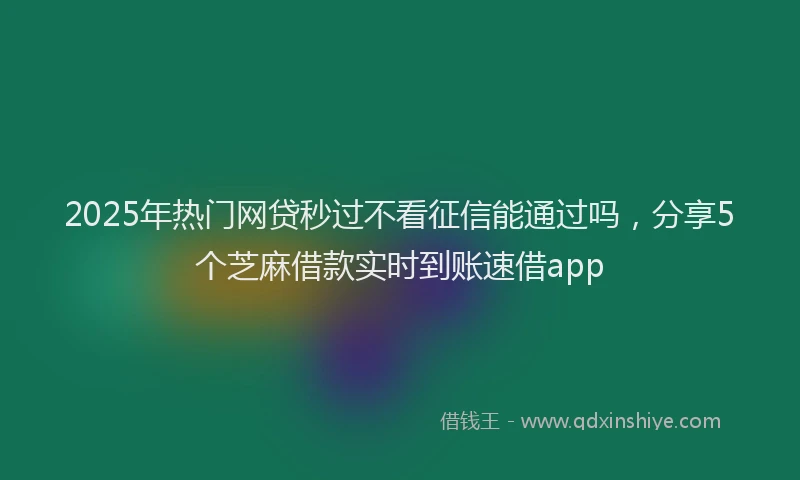 2025年热门网贷秒过不看征信能通过吗，分享5个芝麻借款实时到账速借app