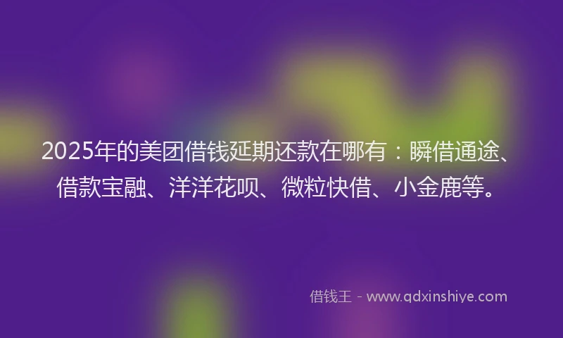 2025年的美团借钱延期还款在哪有：瞬借通途、借款宝融、洋洋花呗、微粒快借、小金鹿等。