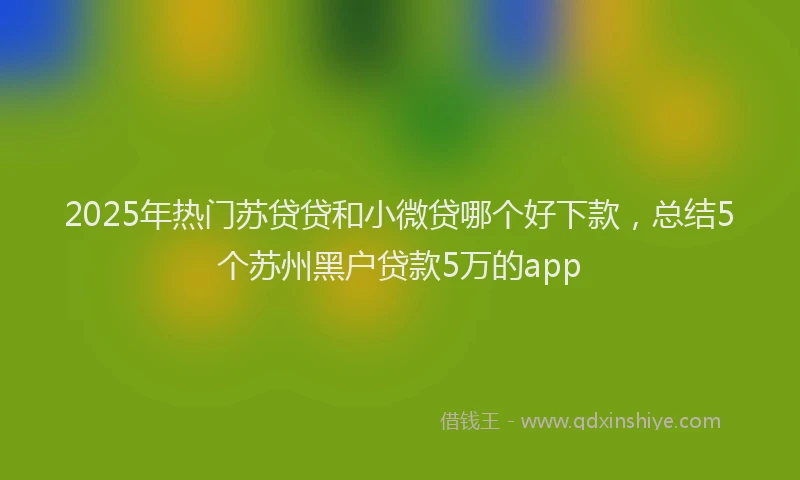 2025年热门苏贷贷和小微贷哪个好下款，总结5个苏州黑户贷款5万的app