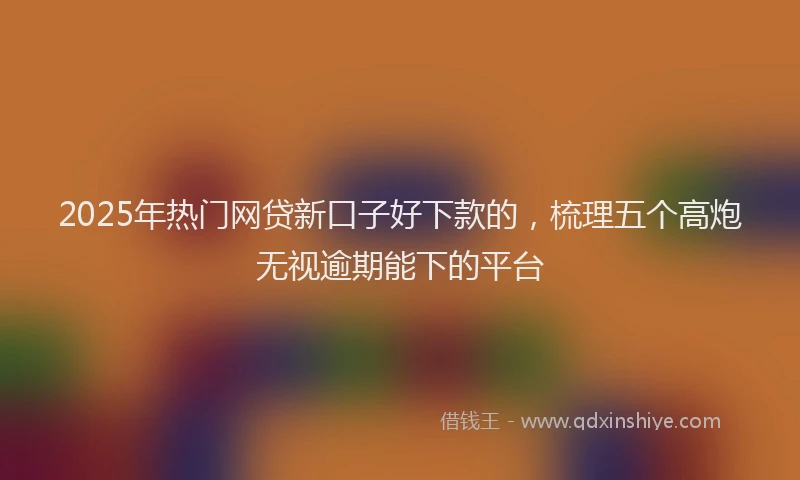 2025年热门网贷新口子好下款的，梳理五个高炮无视逾期能下的平台