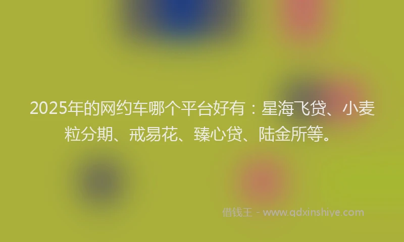 2025年的网约车哪个平台好有：星海飞贷、小麦粒分期、戒易花、臻心贷、陆金所等。