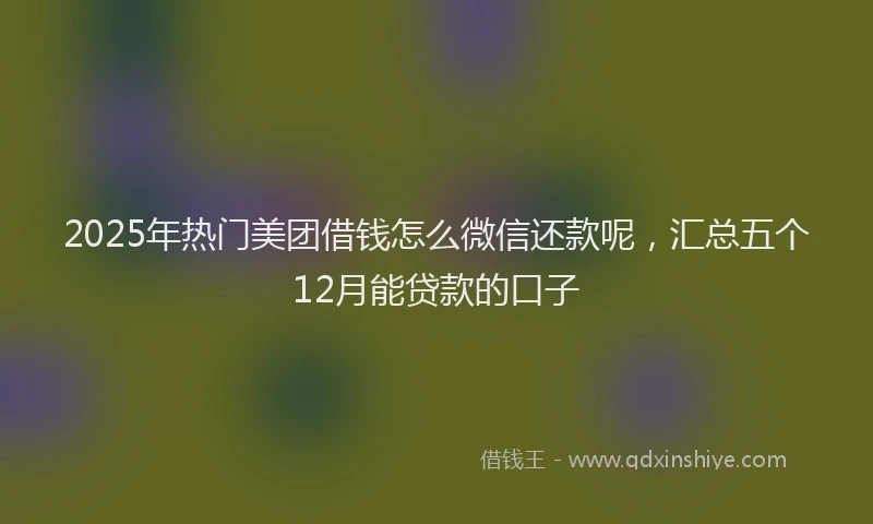 2025年热门美团借钱怎么微信还款呢，汇总五个12月能贷款的口子