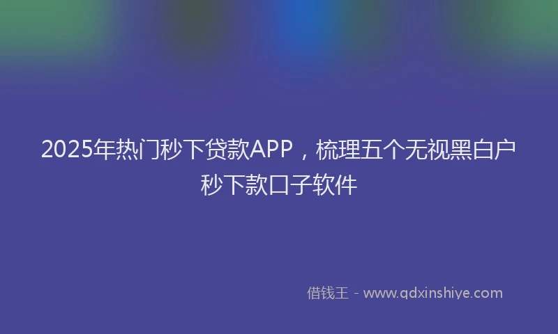 2025年热门秒下贷款APP，梳理五个无视黑白户秒下款口子软件