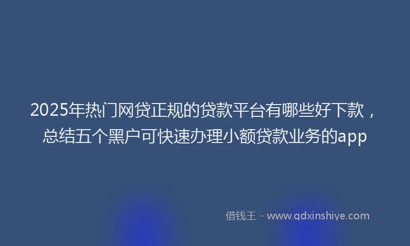 2025年热门网贷正规的贷款平台有哪些好下款，总结五个黑户可快速办理小额贷款业务的app