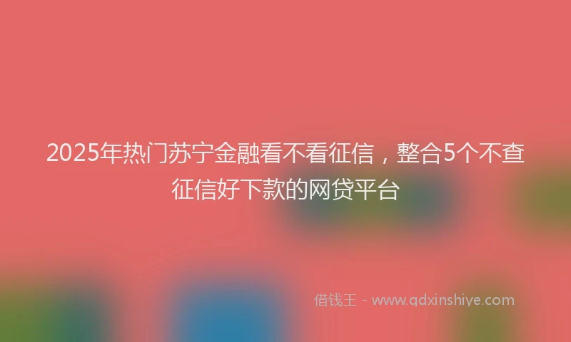 2025年热门苏宁金融看不看征信，整合5个不查征信好下款的网贷平台