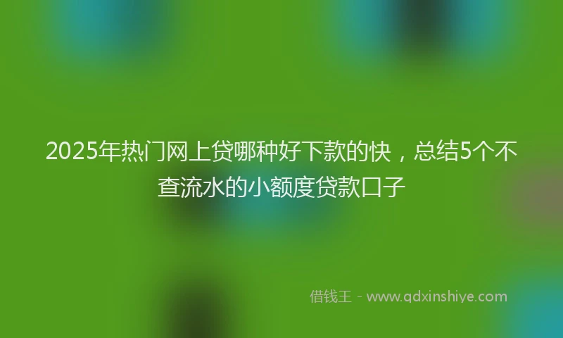 2025年热门网上贷哪种好下款的快，总结5个不查流水的小额度贷款口子