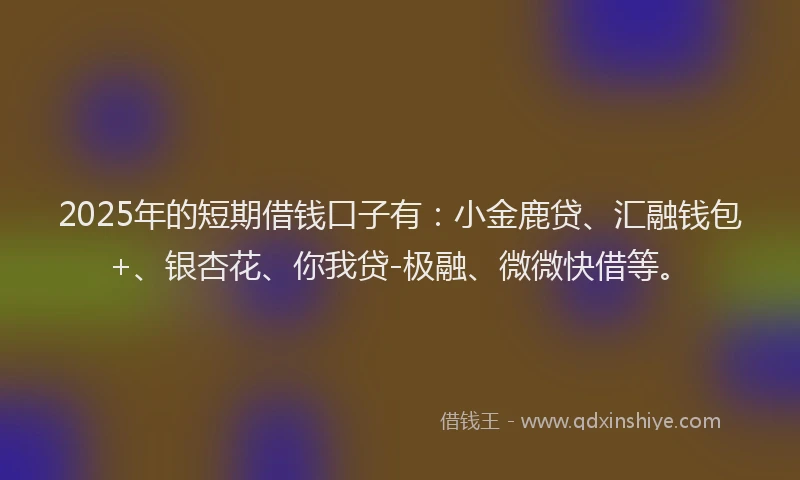 2025年的短期借钱口子有：小金鹿贷、汇融钱包+、银杏花、你我贷-极融、微微快借等。