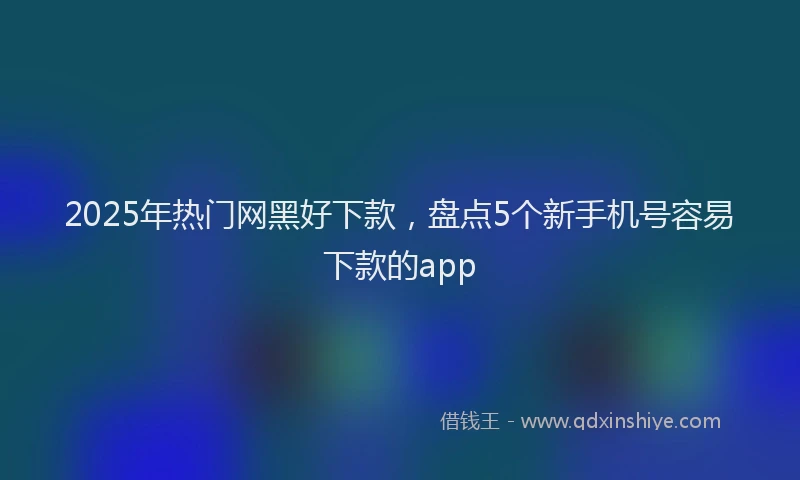 2025年热门网黑好下款，盘点5个新手机号容易下款的app
