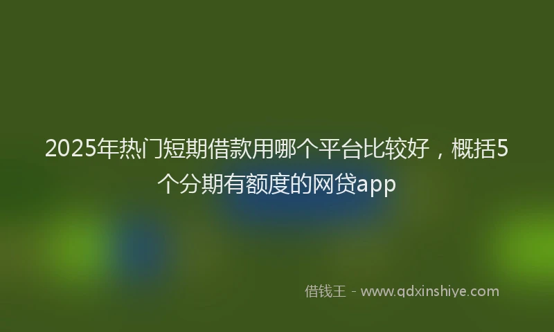 2025年热门短期借款用哪个平台比较好，概括5个分期有额度的网贷app