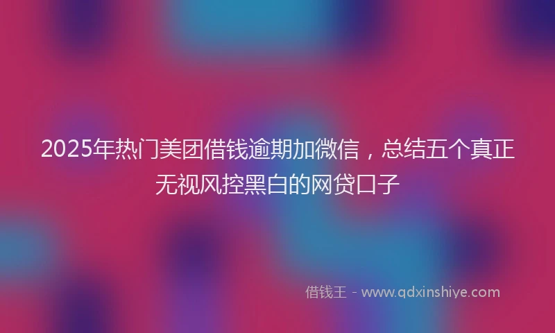 2025年热门美团借钱逾期加微信，总结五个真正无视风控黑白的网贷口子