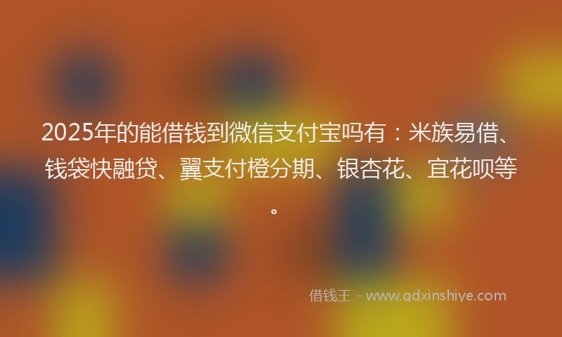 2025年的能借钱到微信支付宝吗有：米族易借、钱袋快融贷、翼支付橙分期、银杏花、宜花呗等。