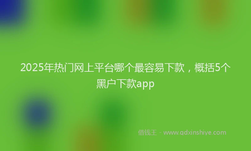 2025年热门网上平台哪个最容易下款，概括5个黑户下款app