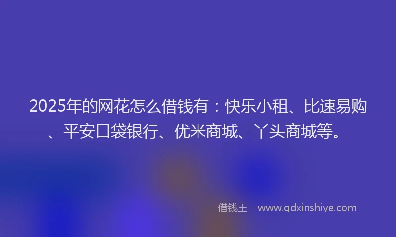 2025年的网花怎么借钱有：快乐小租、比速易购、平安口袋银行、优米商城、丫头商城等。