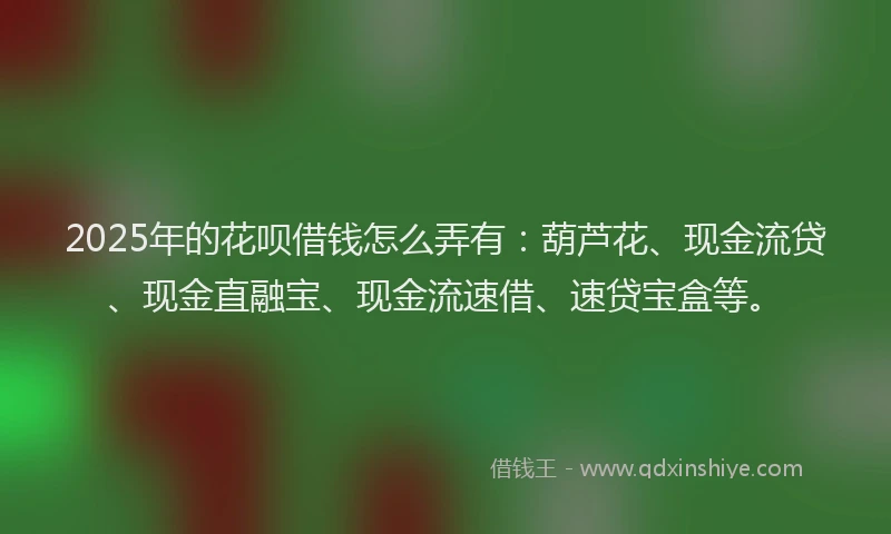 2025年的花呗借钱怎么弄有：葫芦花、现金流贷、现金直融宝、现金流速借、速贷宝盒等。