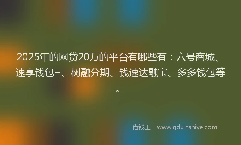 2025年的网贷20万的平台有哪些有：六号商城、速享钱包+、树融分期、钱速达融宝、多多钱包等。