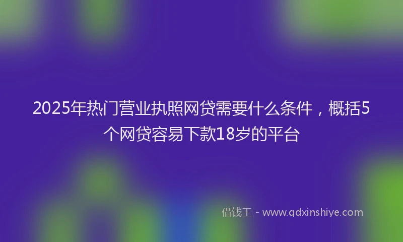 2025年热门营业执照网贷需要什么条件，概括5个网贷容易下款18岁的平台