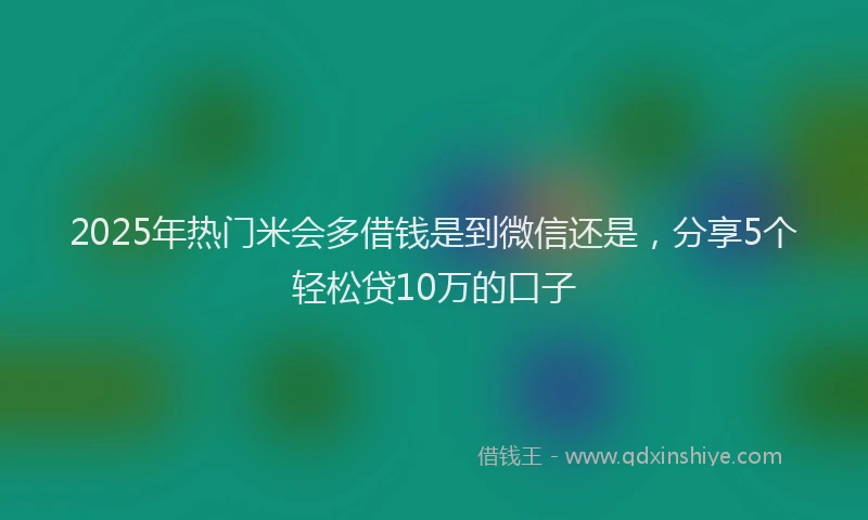 2025年热门米会多借钱是到微信还是，分享5个轻松贷10万的口子