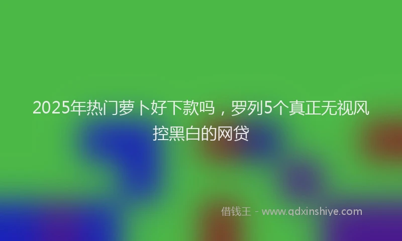 2025年热门萝卜好下款吗，罗列5个真正无视风控黑白的网贷