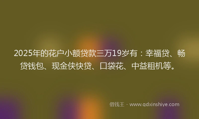 2025年的花户小额贷款三万19岁有：幸福贷、畅贷钱包、现金侠快贷、口袋花、中益租机等。