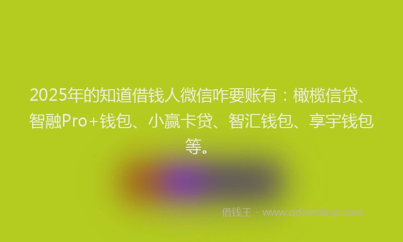 2025年的知道借钱人微信咋要账有：橄榄信贷、智融Pro+钱包、小赢卡贷、智汇钱包、享宇钱包等。